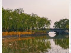 -大兴滨河森林公园