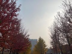 -辽宁大学(崇山校区)