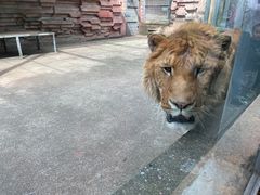 -宁波野生动物园