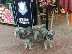 -犟牛家·榴莲烤肉(五棵松店)