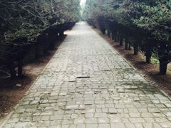 -秦始皇帝陵博物院-丽山园