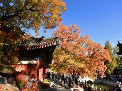 -香山公园