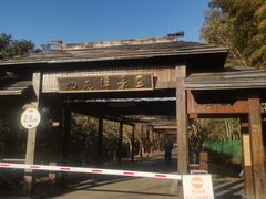-九龙潭景区