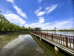 -莲花池公园