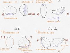 -学知乐教育·幼小衔接·小学科辅导(浦东外高桥森兰中心)