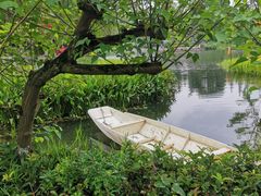 -成飞公园