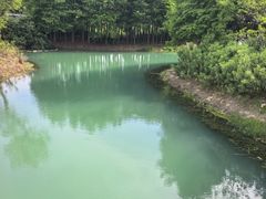 -贡湖湾湿地公园