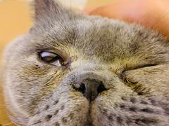 -平行世界·猫咖(首经贸店)