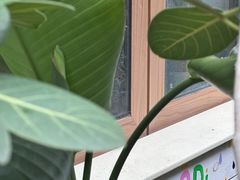 -ABCD咖啡屋(妇幼店)