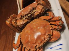 -芥末日本料理(打浦路铂尔曼旗舰店)