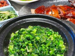 -南拳十三姨·潮汕砂锅粥·粤菜(西单大悦城店)