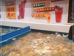 水产区-恭喜上堓砂锅焗·海鲜大排档(闵行龙湖店)