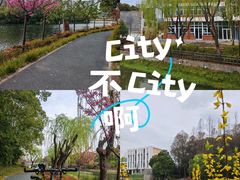 -新江湾城公园