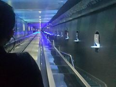 -白鹤梁水下博物馆