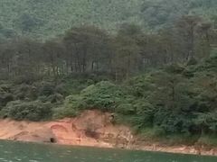 -广州市流溪河国家森林公园