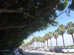 -南沙十九涌渔人码头-南门