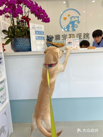 1元团购个体检套餐（简直就像是白捡的一样）