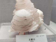 -湖南省地质博物馆