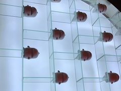 -吾悦广场(南京鼓楼店)