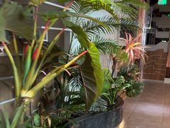 -湊湊火锅·茶憩(皇姑万象汇店)