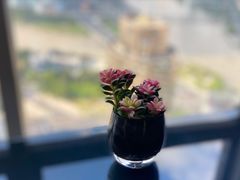 -宁波威斯汀酒店