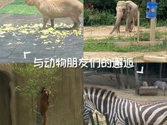 -南昌动物园