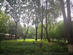 -绵阳人民公园(涪城区)
