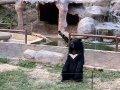 -清迈夜间动物园