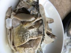 -陈大锅·岳阳鱼馆·地道岳阳菜(美食街店)