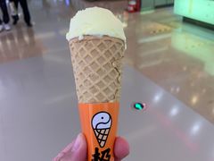 -极拉图·现制冰淇淋(大卫城店)