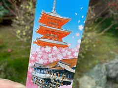 -有栖山 清光院 清水寺