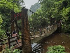 -碧峰峡风景区