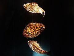 -澜棠海鲜(余姚阳明古镇店)