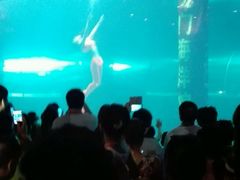 -洛阳龙门海洋馆