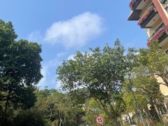 -深圳东部华侨城茵特拉根酒店