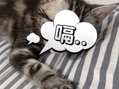 -夜幕浸入式超级密室(望京店)
