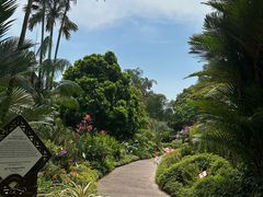 -植物园哈利亚餐厅