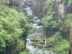 -鹿院坪生态旅游景区
