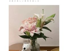 -御境·SPA养生会馆