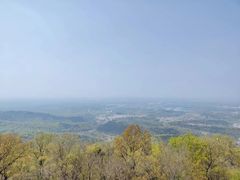 -南京老山国家森林公园
