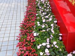 -荔湾区儿童公园