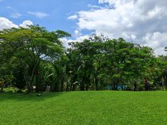 -中国科学院西双版纳热带植物园