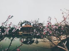 -驿舍·民國老营房院子私房菜(科学会堂店)