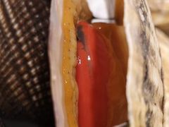 -鲜鲜·鲅鱼圈海鲜(于洪店)