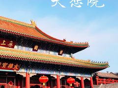 -天津大悲禅院