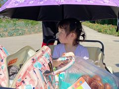 -前小桔亲子创意农场·草莓采摘·露营烧烤