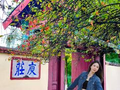 -庾园