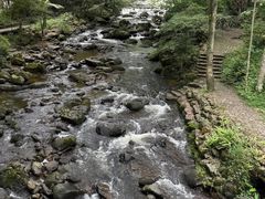 -广州市石门国家森林公园