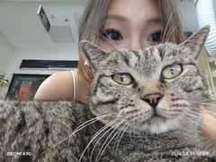 -平行世界·猫咖(首经贸店)