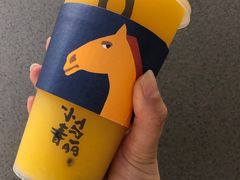 -春丽小马(济南恒隆广场店)